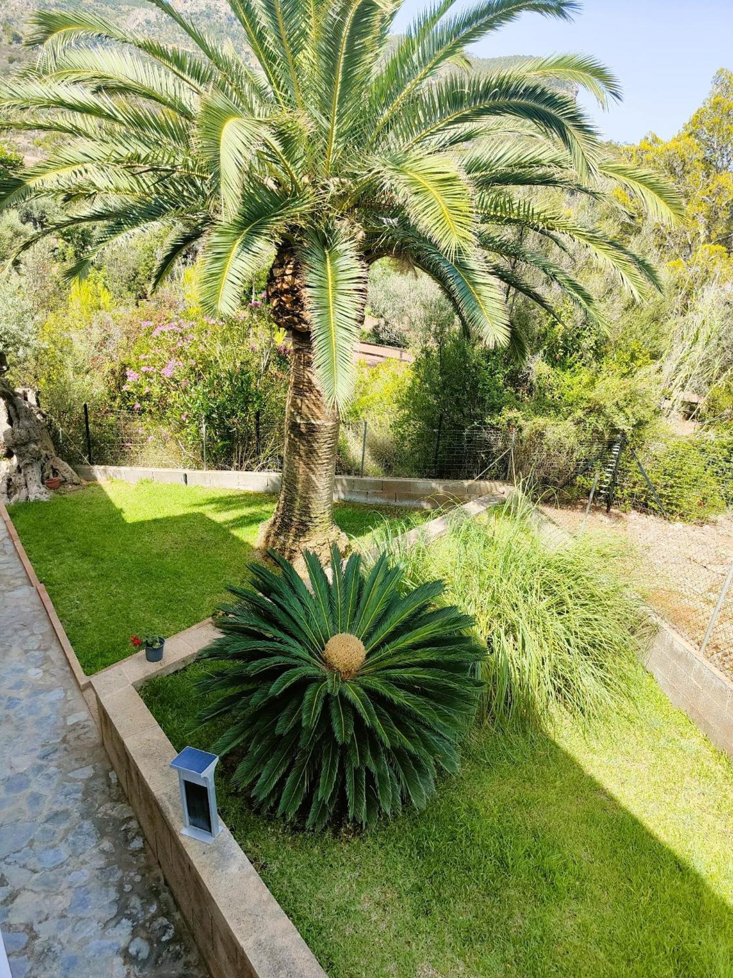 Villa Capllonch Banyalbufar Extérieur photo